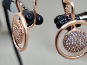 Apvalaus Spindesio Auskarai